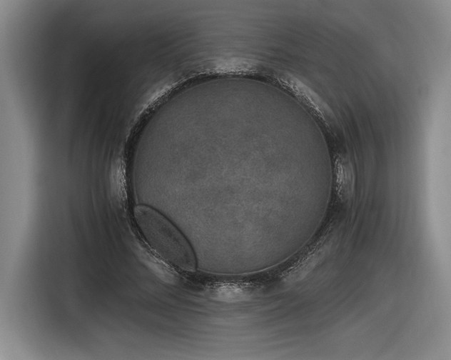 X0000116860684200912221139