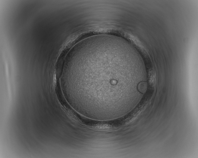 X0000116860685200912221139