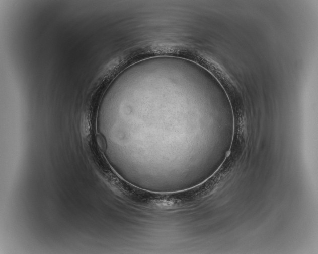 X0000116860687200912221139