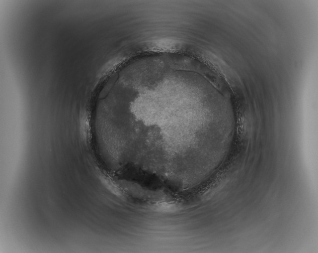 X0000116860688200912221139