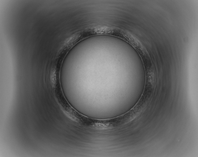 X0000116860690200912221139