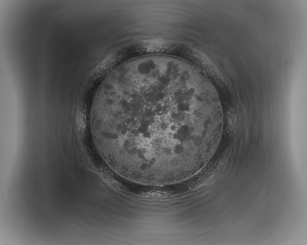 X0000116860691200912221139