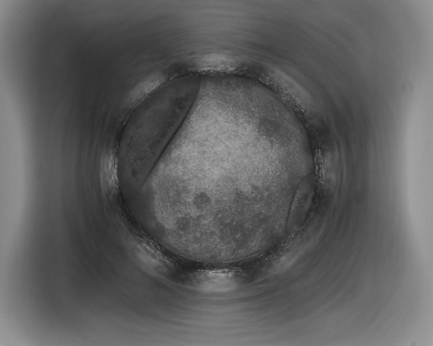 X0000116860692200912221139