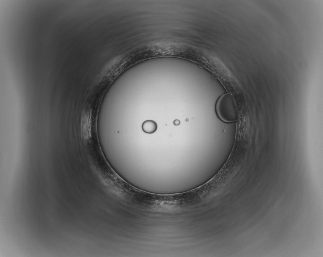 X0000116860694200912221139