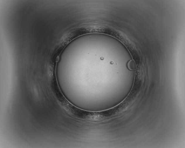 X0000116860695200912221139