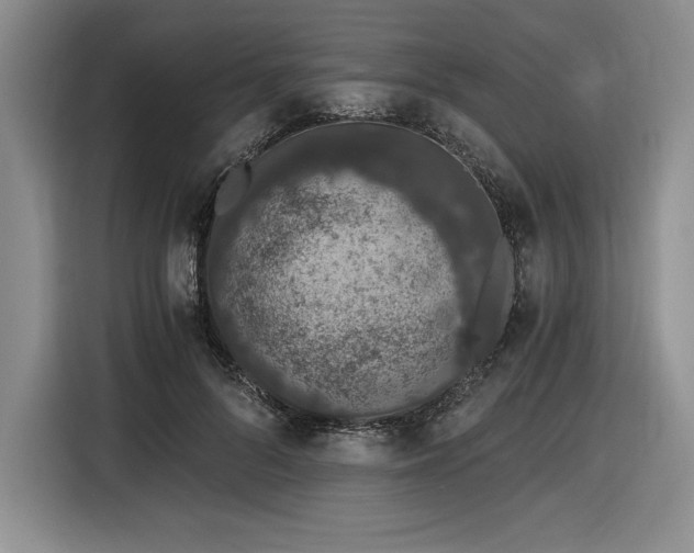 X0000116860696200912221139