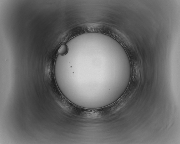 X0000116860698200912221139