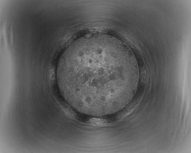 X0000116860699200912221139