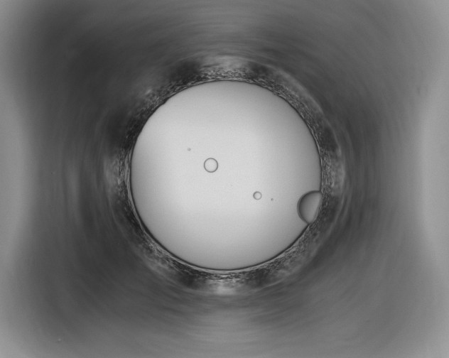 X0000116860701200912221139