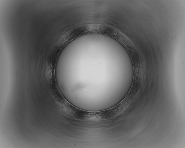 X0000116860702200912221139