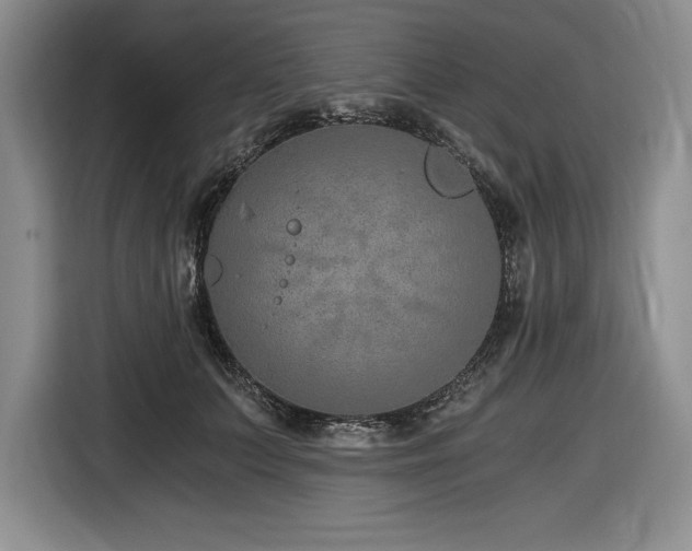 X0000116860703200912221139