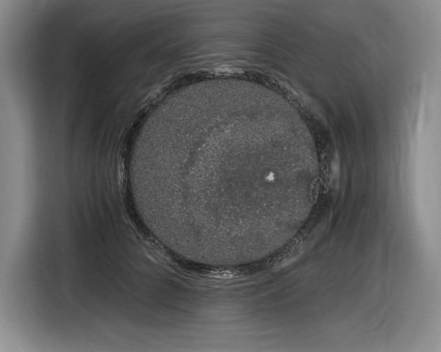 X0000116860704200912221139
