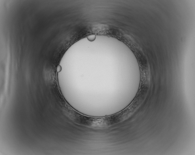 X0000116860705200912221139