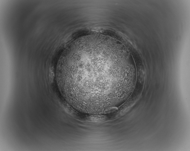 X0000116860707200912221139