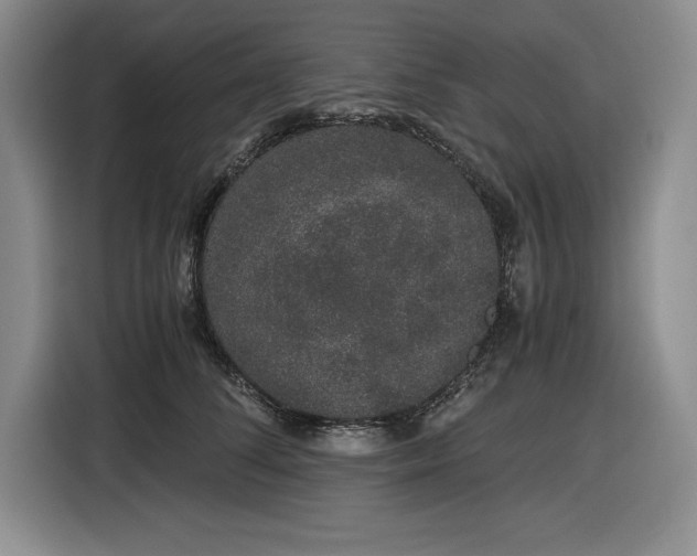 X0000116860708200912221139