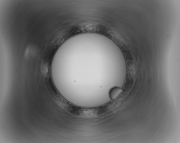 X0000116860709200912221138