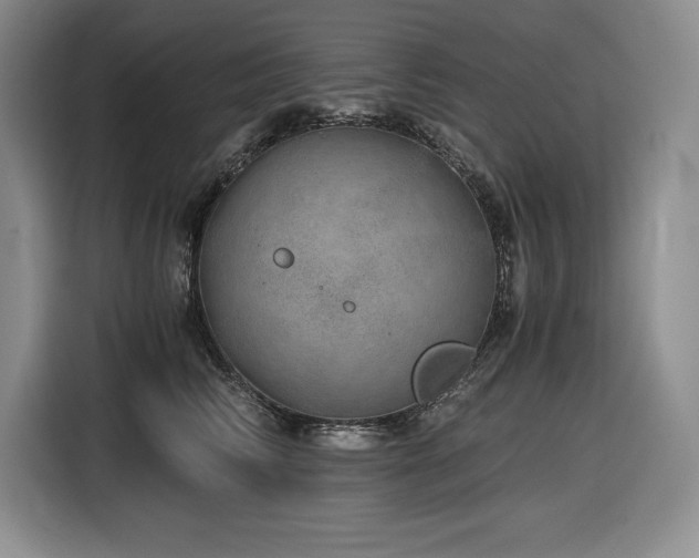 X0000116860710200912221138