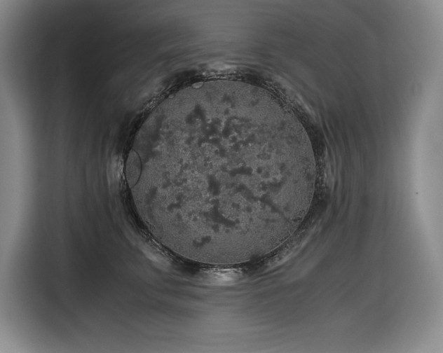 X0000116860711200912221138