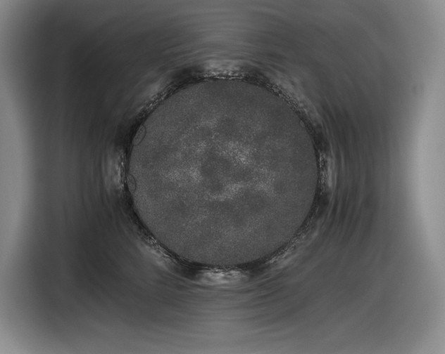 X0000116860712200912221138