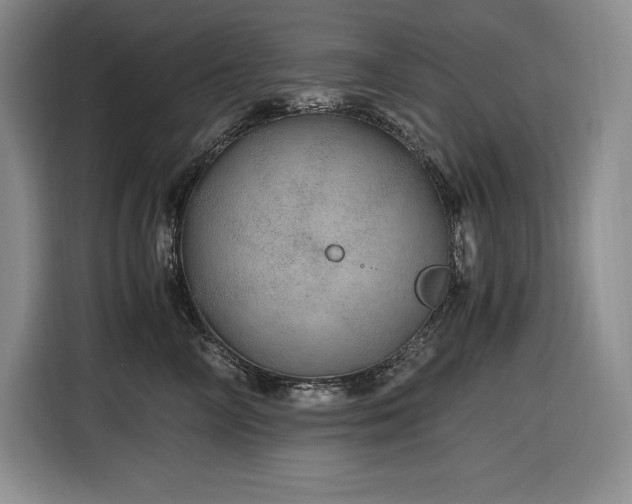 X0000116860714200912221138