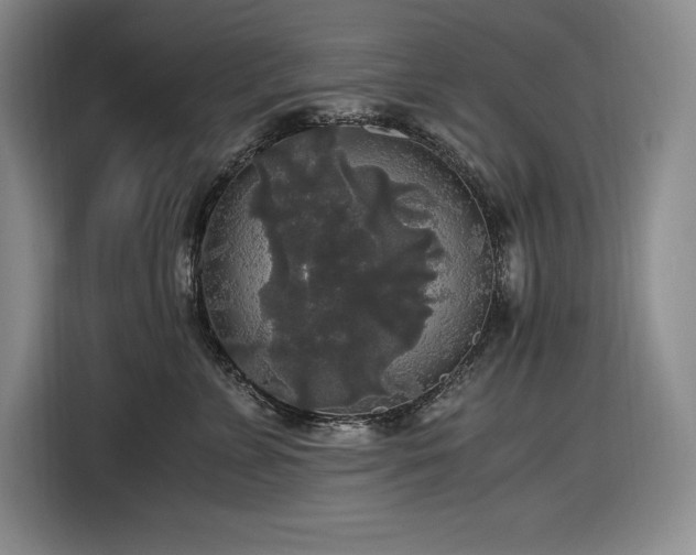 X0000116860715200912221138