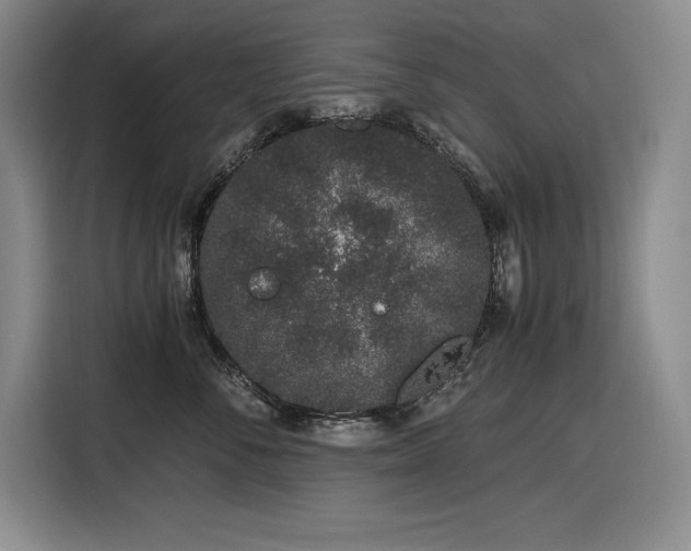 X0000116860716200912221138