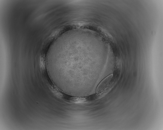 X0000116860719200912221138
