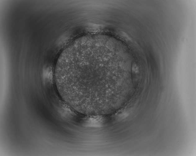 X0000116860720200912221138