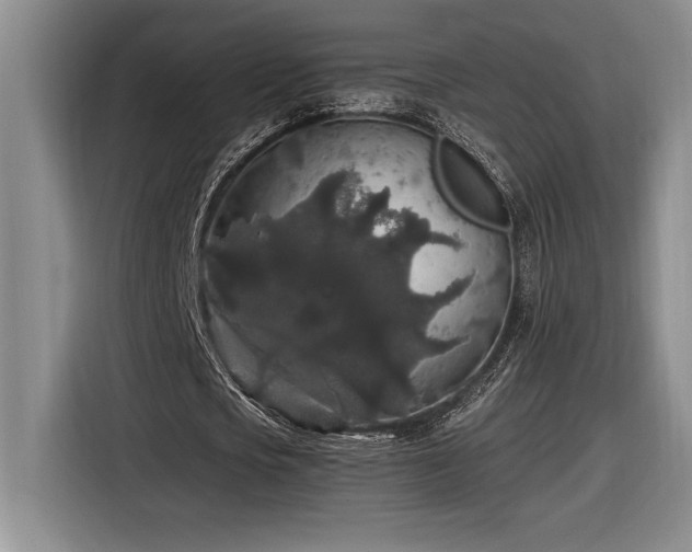 X0000116860721200912221138