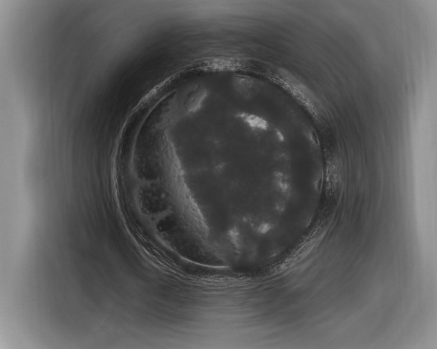 X0000116860722200912221138