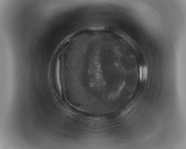 X0000116860723200912221138