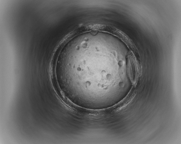 X0000116860725200912221138