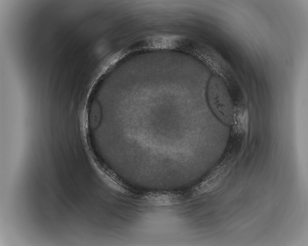X0000116860726200912221138