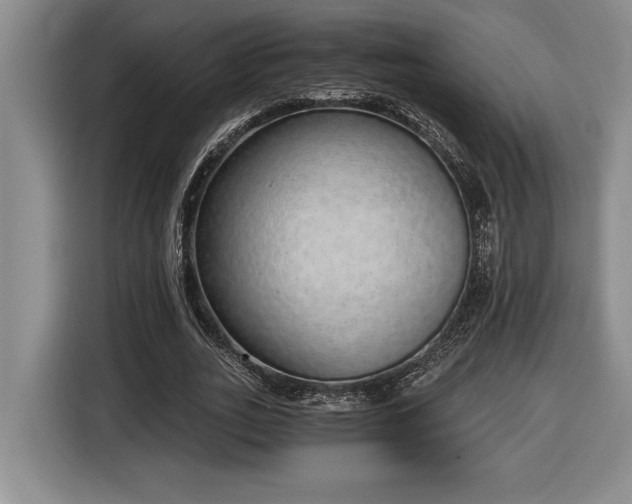 X0000116860727200912221138