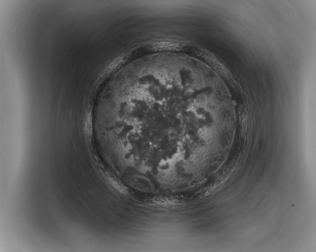 X0000116860729200912221138