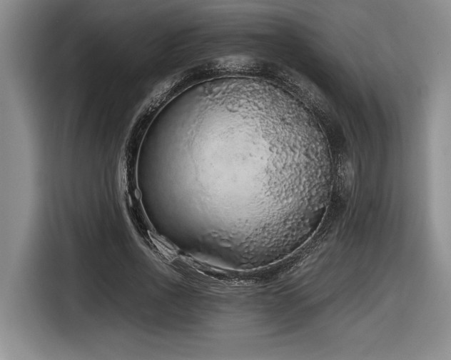 X0000116860734200912221138
