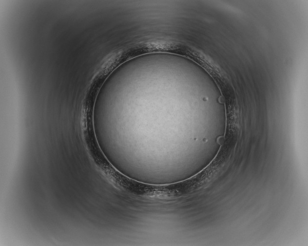 X0000116860738200912221138