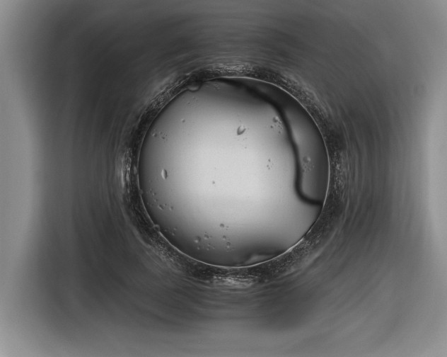 X0000116860739200912221138