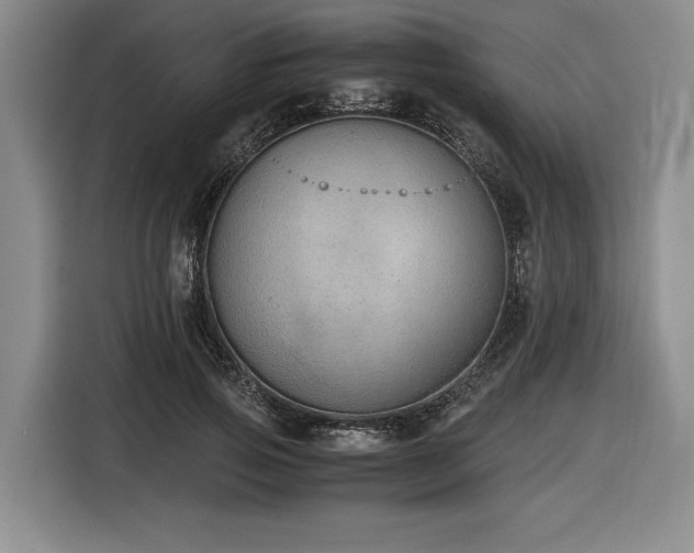 X0000116860741200912221138