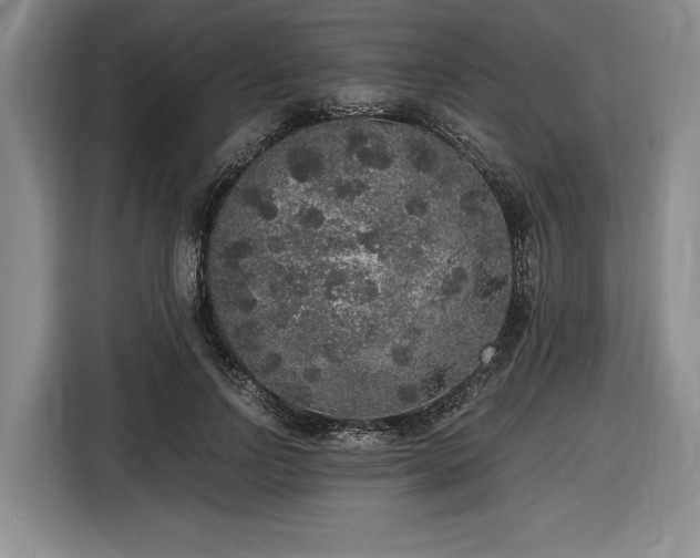 X0000116860742200912221138
