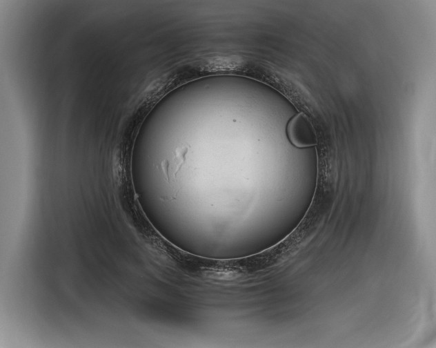 X0000116860743200912221138