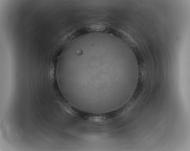 X0000116860745200912221138