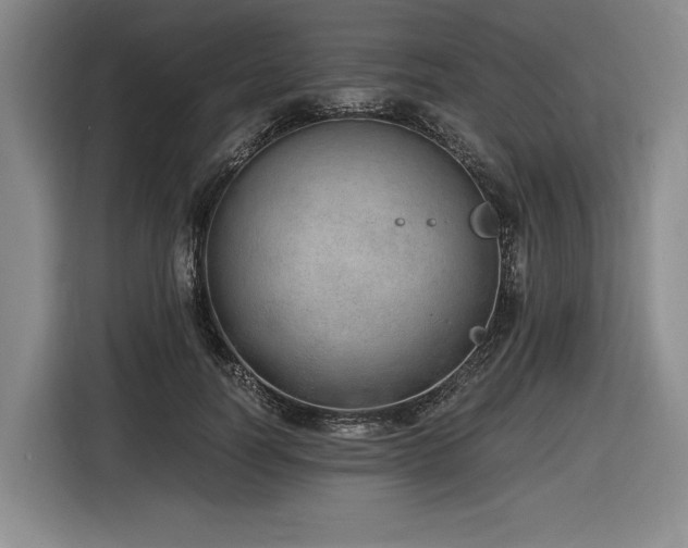 X0000116860746200912221138