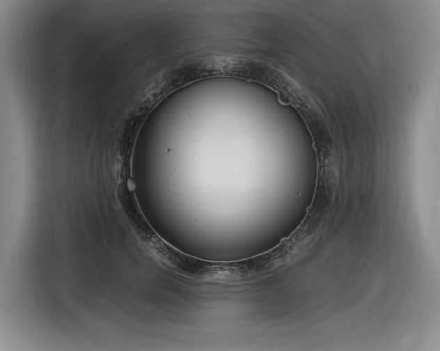 X0000116860750200912221138