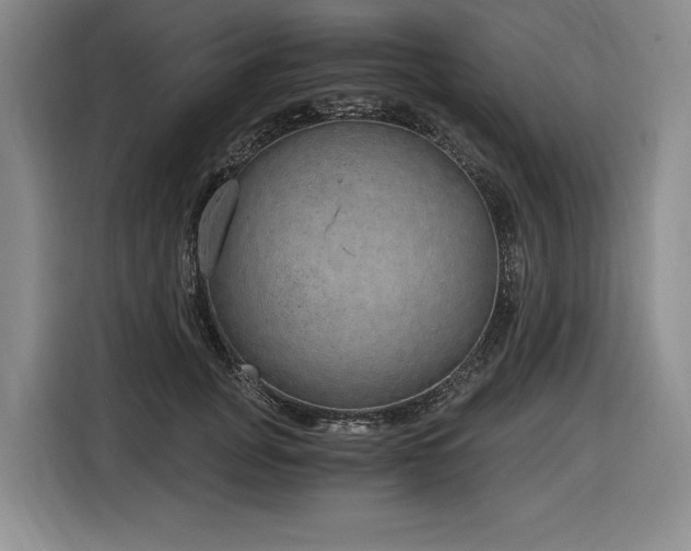 X0000116860751200912221138