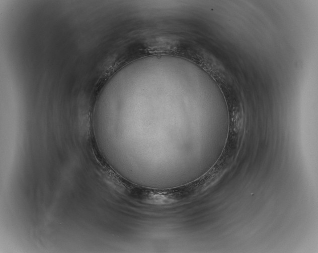 X0000116860753200912221138