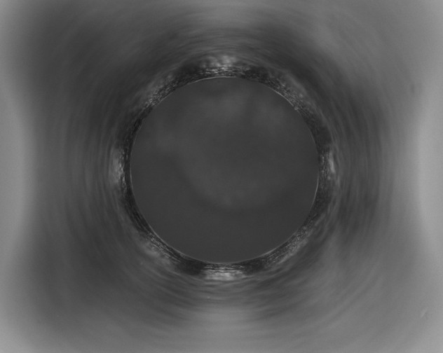 X0000116860754200912221138