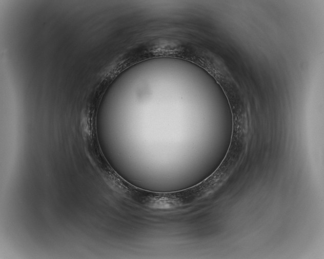 X0000116860755200912221138