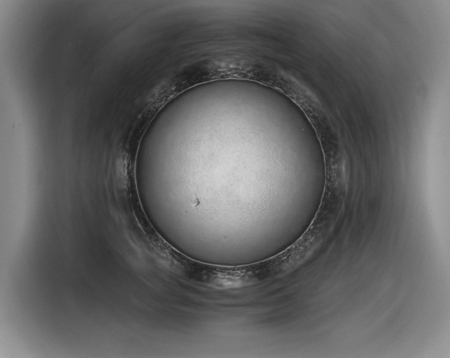 X0000116860757200912221138