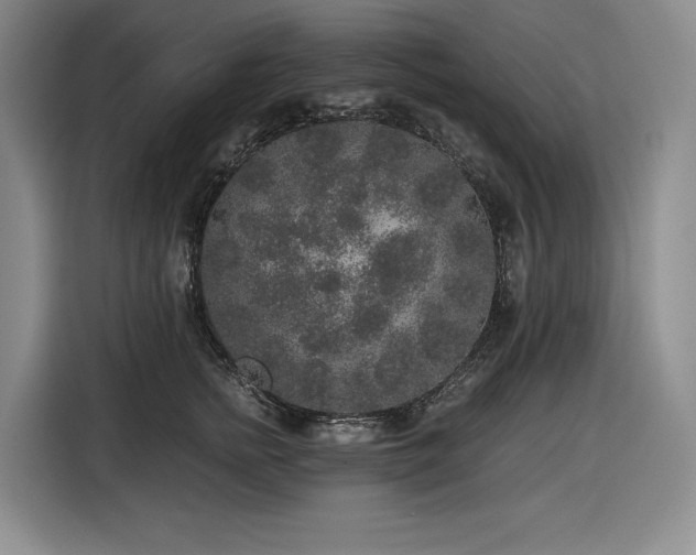 X0000116860758200912221138
